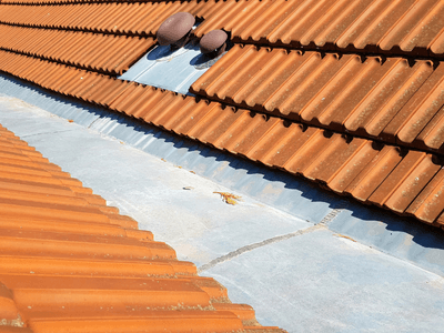 About Leaking Skylight Repair Pros Jamaica, IA